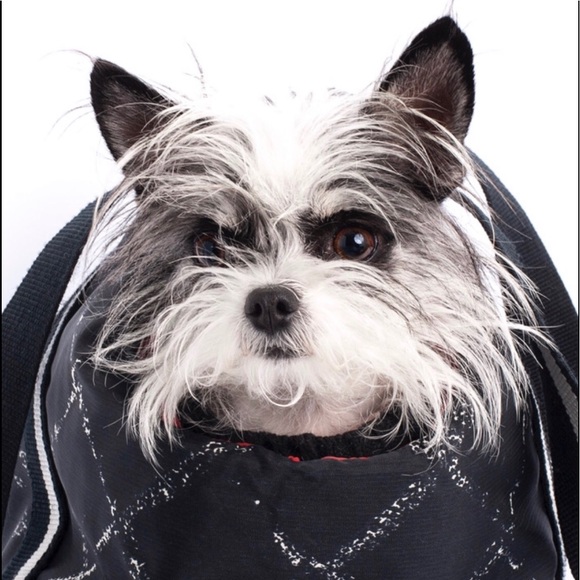 Meet your Posher, Marisa - Picture 7 of 7